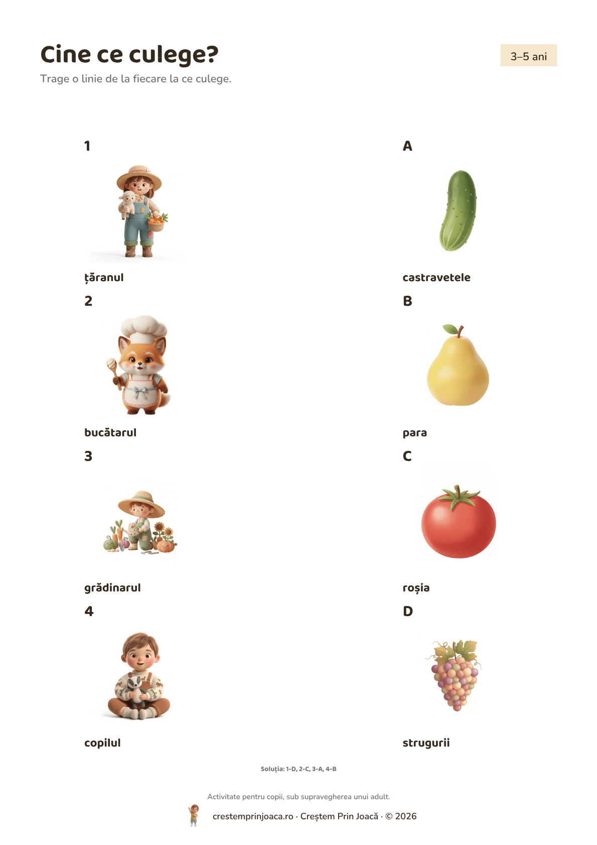 Cine ce culege? — fișă de lucru cu fructe și legume