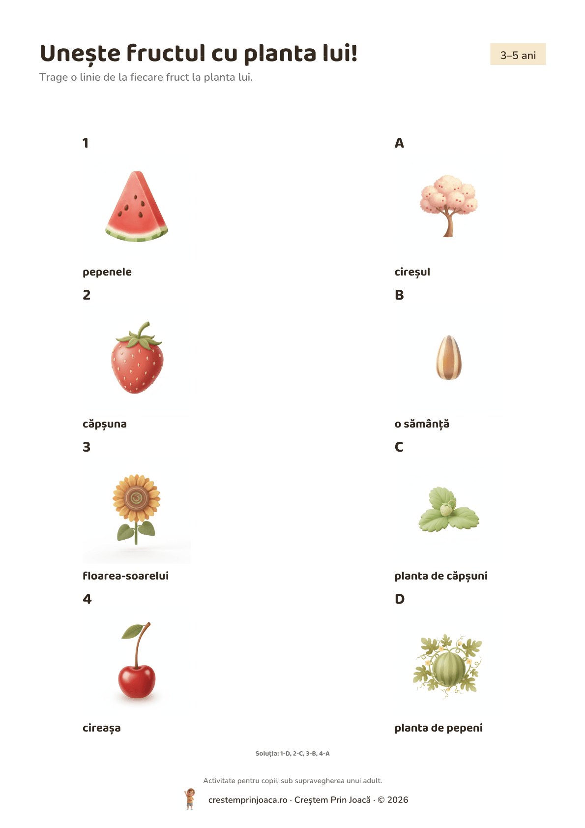 Unește fructul cu planta lui! — fișă de lucru de vară