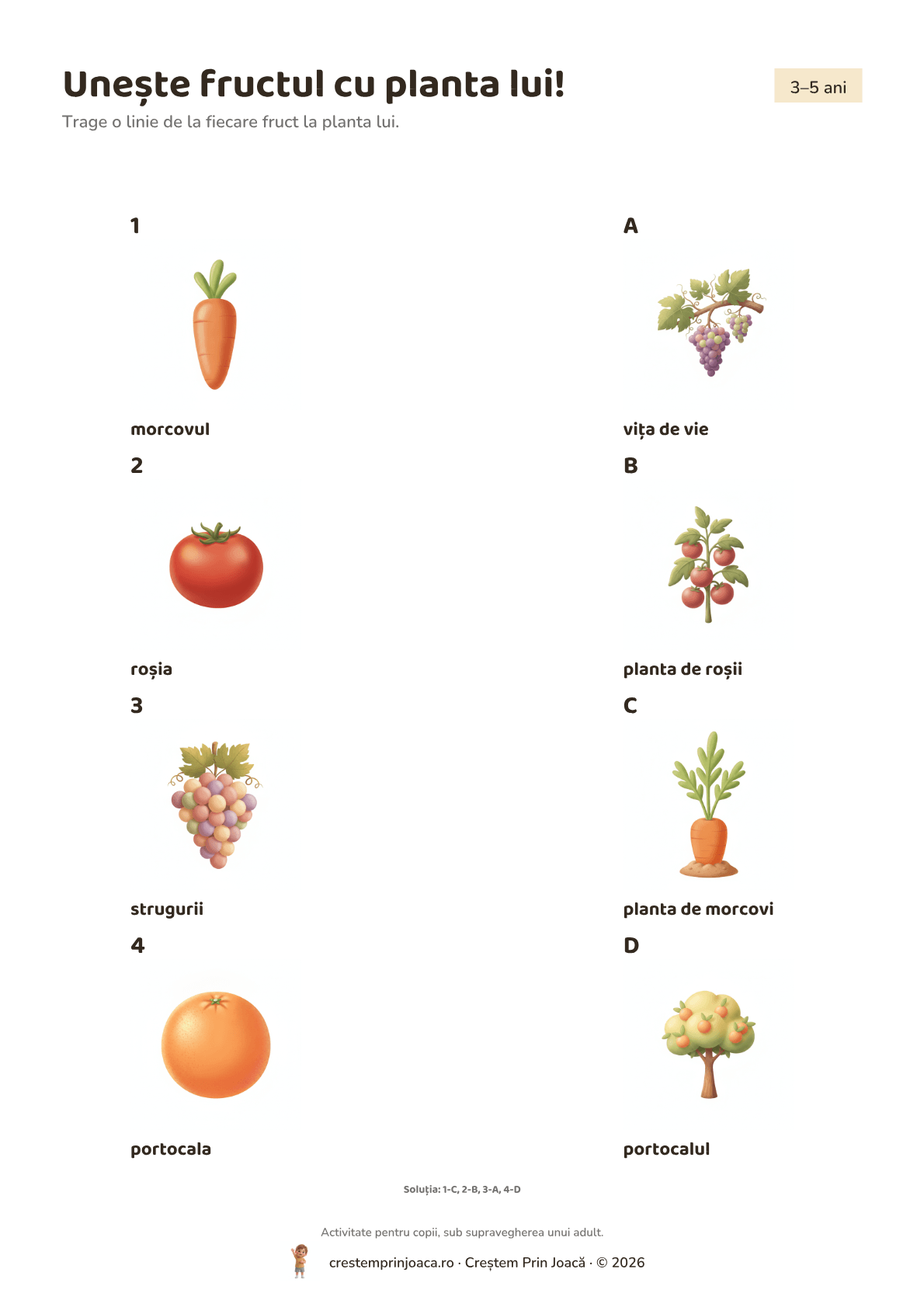 Unește fructul cu planta lui! — fișă de lucru cu fructe și legume