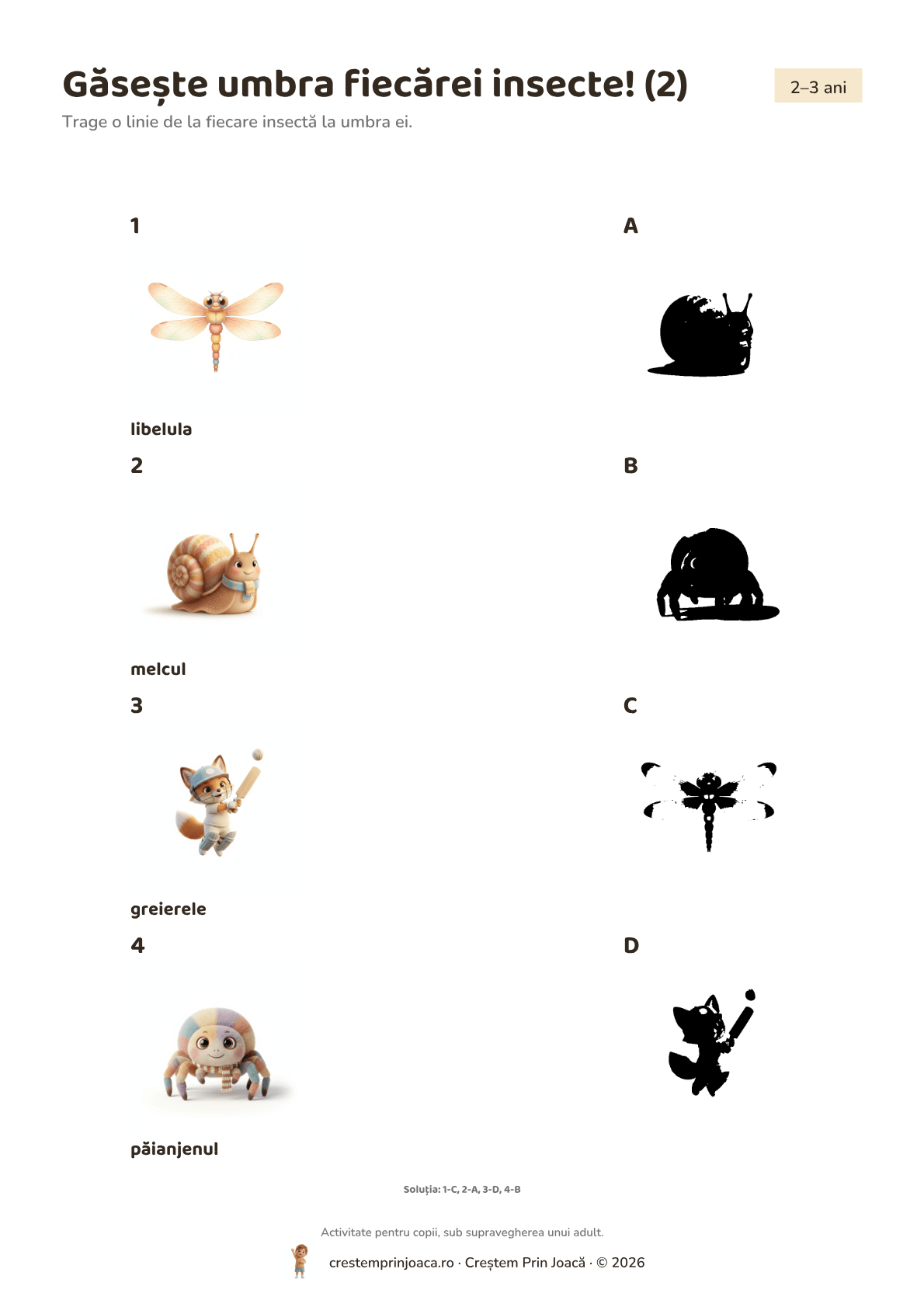 Găsește umbra fiecărei insecte! (2) — fișă de lucru cu insecte și fluturi