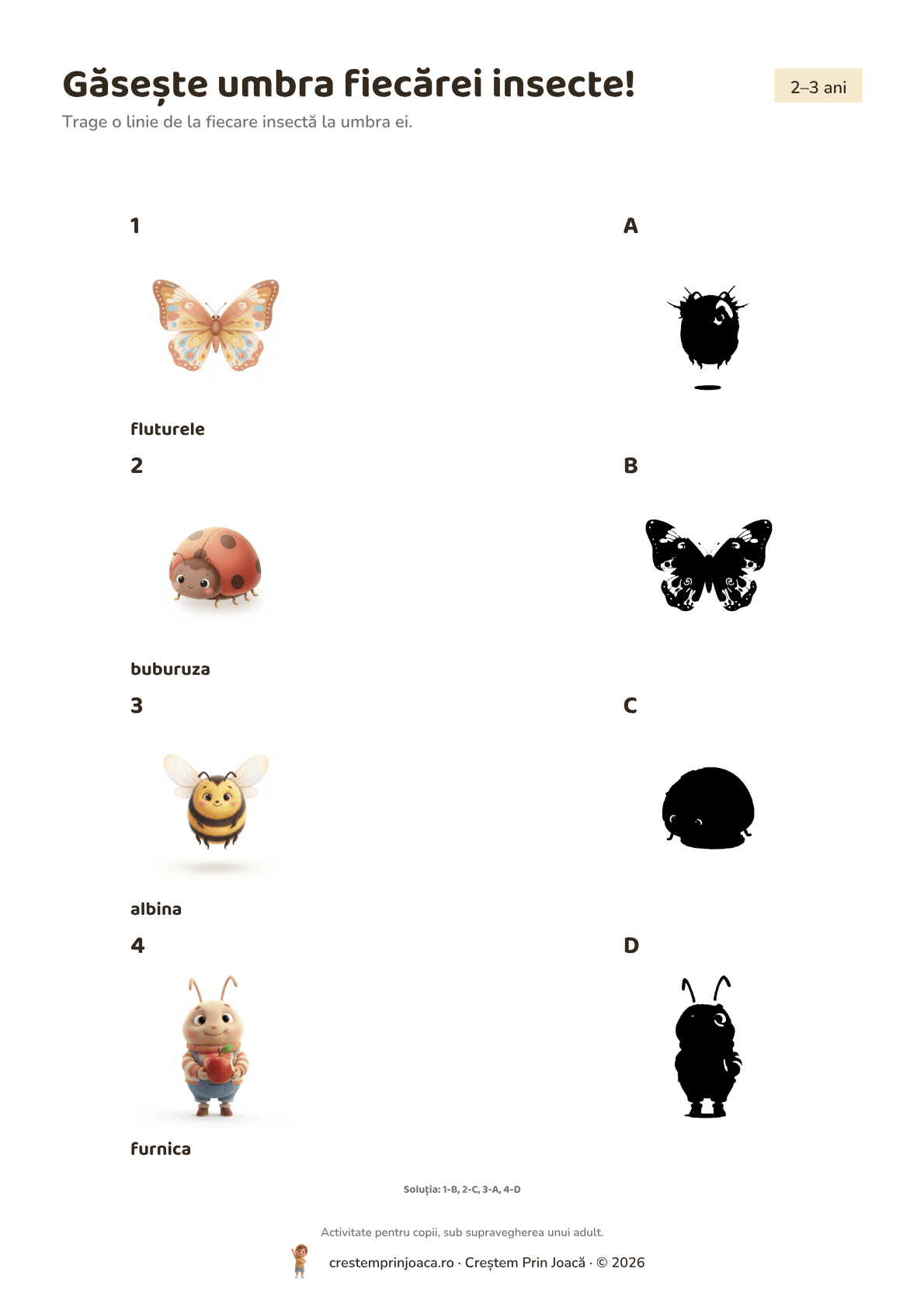 Găsește umbra fiecărei insecte! — fișă de lucru cu insecte și fluturi